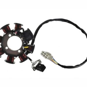 ESTATOR 8 CAMPOS MOTOMEL SKUA 200 REPCOR