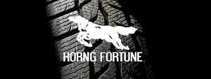 Horng Fortune - Logo