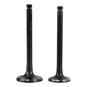 VALVULAS GILERA SMASH 110 BIZ – ZB JUEGO BHI-CROSSX